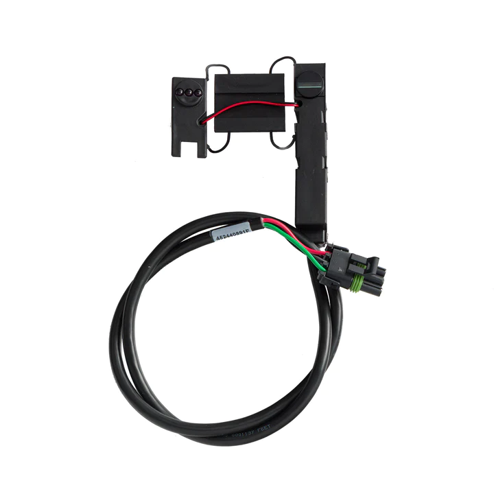 imagem_2024-01-25_095144643